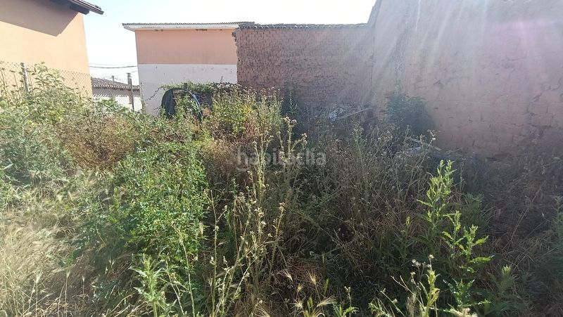 Foto ead87d0a-ace8-43d6-9b20-d61a78656c9a. Casa adossada amb aparcament a Cayuela