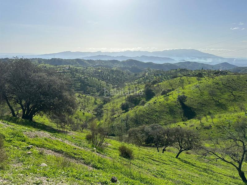 Foto 8eedb8e7-4ad9-47e8-96e4-3b1bb4096aa2. Terreno residenziale in Cártama