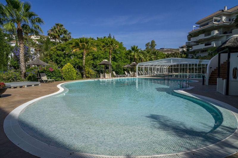 Foto 2b97f650-ef4d-44ef-aa08-dd5a5c5bed10. Apartament a Los Naranjos Marbella