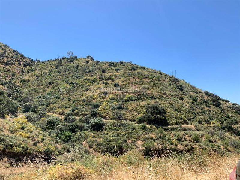 Foto ac82330e-0579-4261-8aed-31296df7a8df. Terreny residencial a alegría de la huerta- jardín de Málaga Málaga