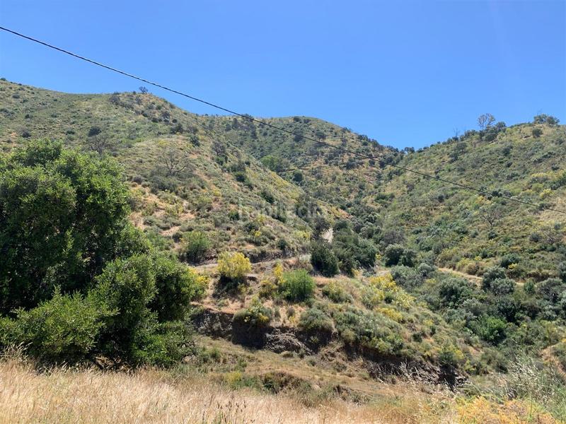 Foto 1995fec5-bece-4476-8473-c3d773ba43b3. Terrain résidentiel dans alegría de la huerta- jardín de Málaga Málaga