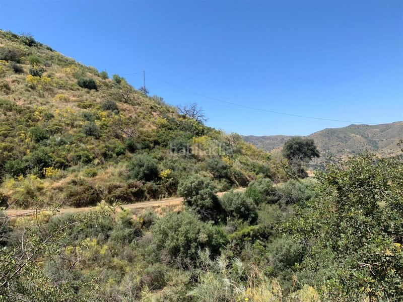 Foto 28f59e9b-8170-42a8-8fa0-9adef1b0fc09. Terrain résidentiel dans alegría de la huerta- jardín de Málaga Málaga