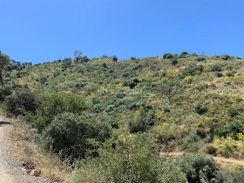 Foto 30af6a50-4942-42d3-9d02-bfe9eb60d9dd. Terrain résidentiel dans alegría de la huerta- jardín de Málaga Málaga