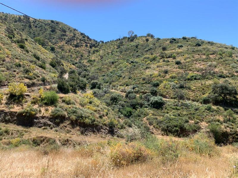 Foto 6bc9a370-d29e-4e8b-a93e-9cb7d955c8f1. Terrain résidentiel dans alegría de la huerta- jardín de Málaga Málaga