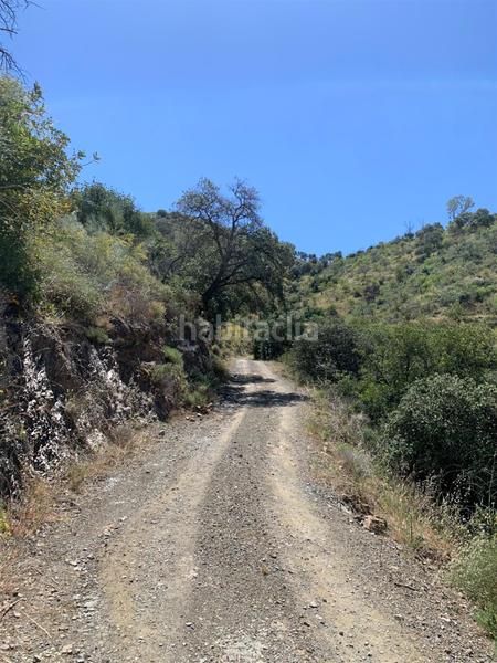 Foto 4563353c-5ad7-4915-96a5-678fed37a6de. Wohngrundstück in alegría de la huerta- jardín de Málaga Málaga