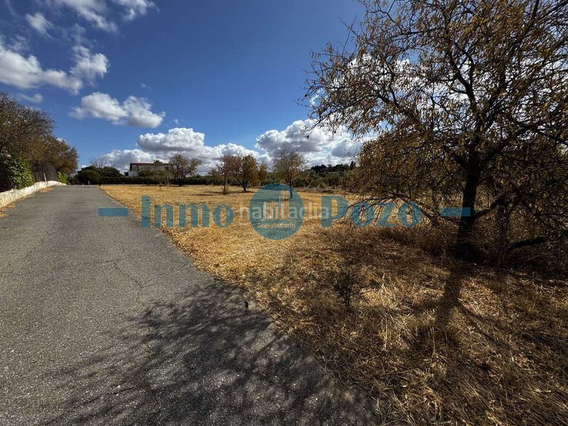 Foto 59db0f09-4a17-40a1-9028-6581412cc795. Terreny residencial a Almendralejo