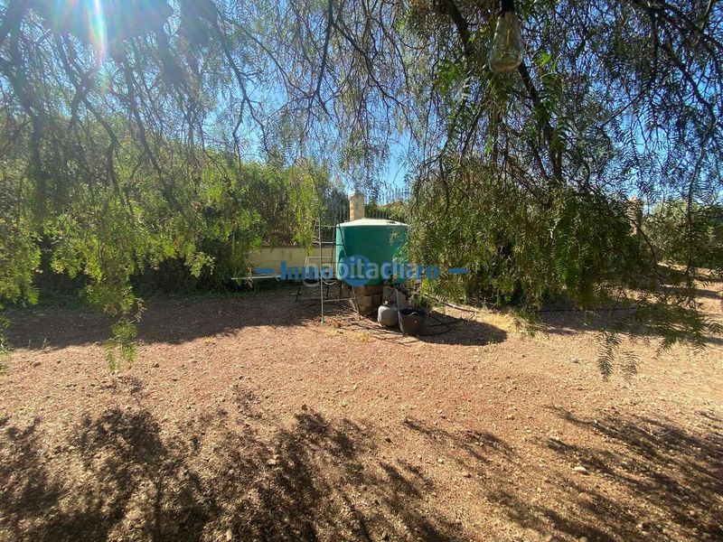 Foto 802a1351-dc41-40c2-a67d-876a58a1c1ba. Finca rústica a Almendralejo