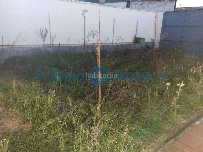 Foto 608b53b1-ff75-4b90-b03a-af1192fa70f8. Nau industrial a Almendralejo