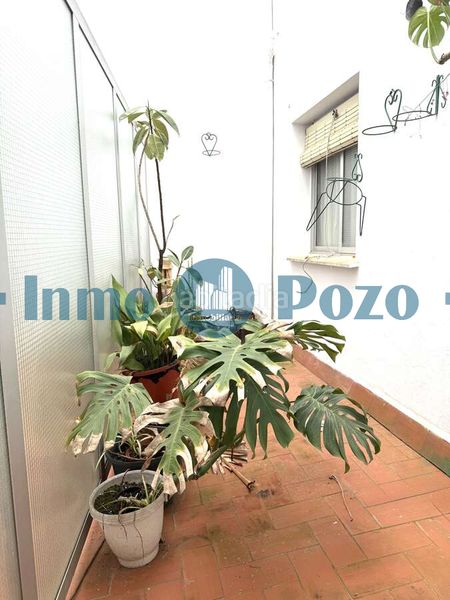 Foto d455afbb-24b2-4efa-b92d-5bce438b4c5c. Pis a Almendralejo