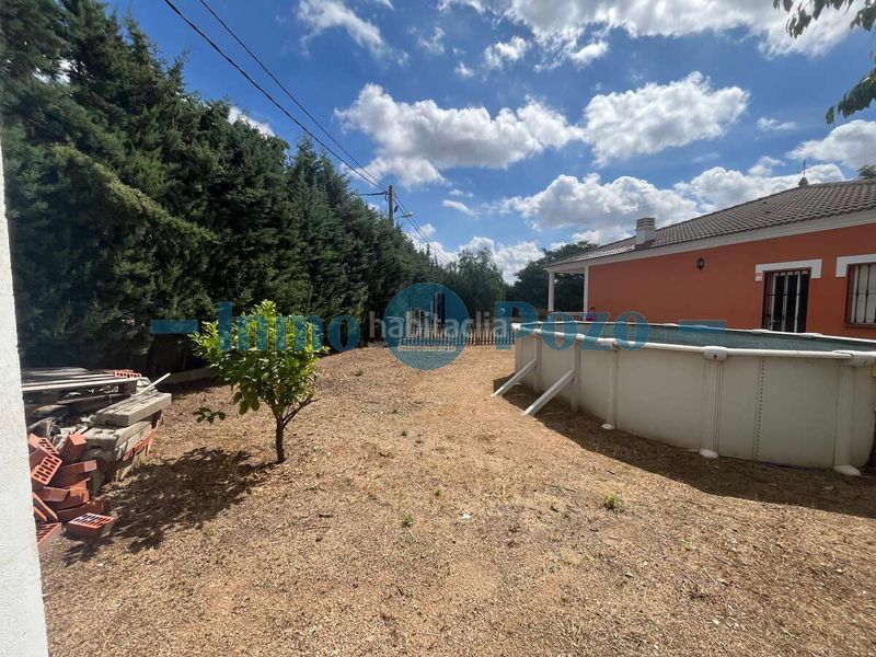 Foto 0424b893-474d-49ef-a33a-3194e7b42676. Xalet amb piscina a Almendralejo