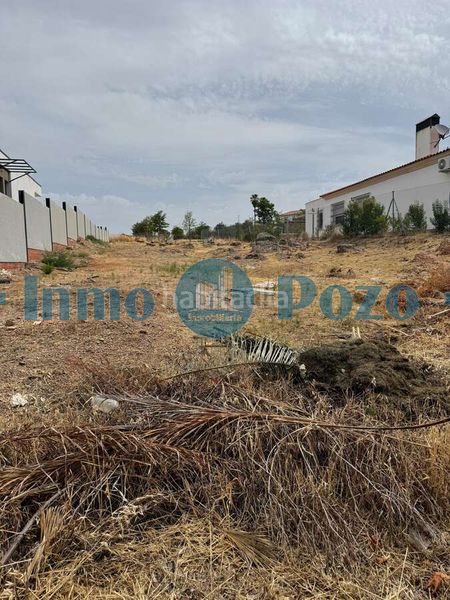 Foto 022a5fea-c937-4e6c-bc93-2ebf661802f5. Finca rústica a Almendralejo