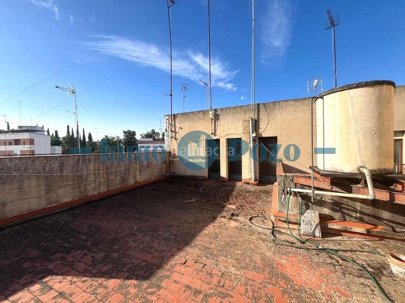 Foto f8b1992a-4cb3-4e0e-b447-50f7688b155e. Pis a Almendralejo