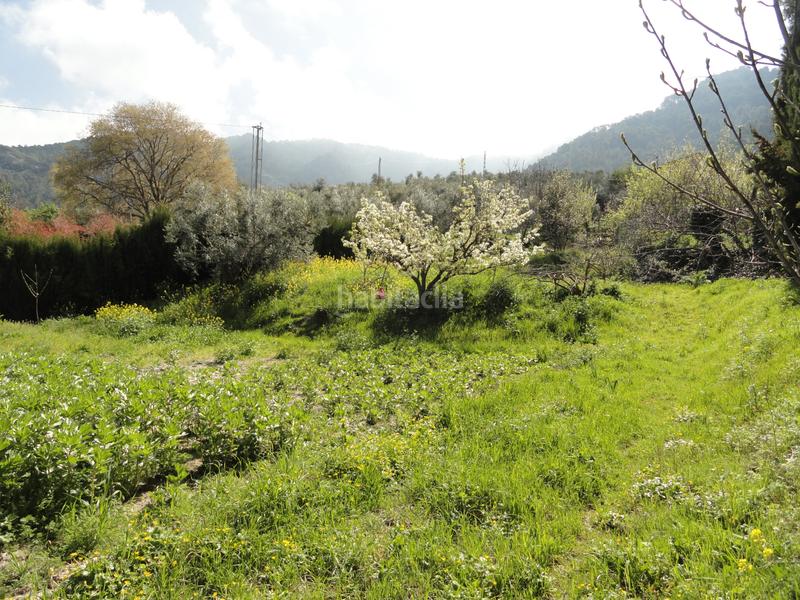 Foto 0afbaef0-2639-40fa-a53d-0968a87b5d70. Finca rústica a Iruela (La)