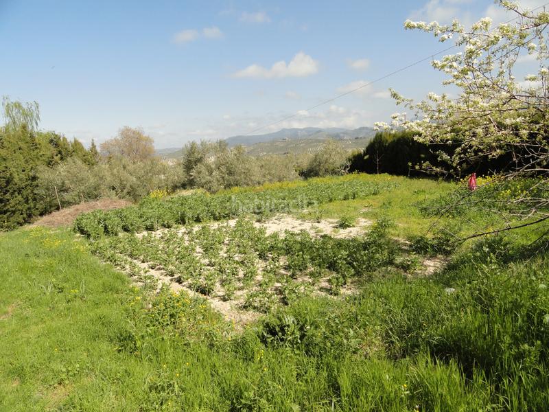 Foto 0b60c340-d7f8-4fbd-8d5e-eb44da3a8a76. Finca rústica a Iruela (La)