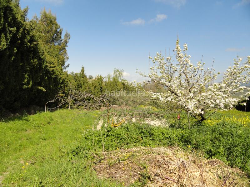 Foto 1bc51c72-b682-442d-83cd-db93b4703fe0. Finca rústica a Iruela (La)