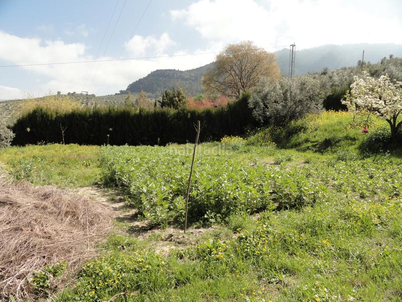 Foto 8b399939-b47b-4979-b8d9-8878ebb839d6. Finca rústica a Iruela (La)
