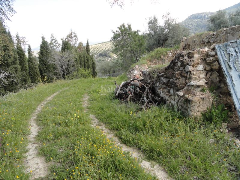 Foto a9ae20f3-7095-41af-9bc9-bf0a89282223. Finca rústica a Iruela (La)