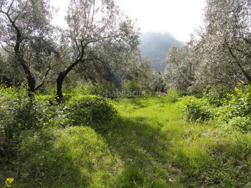 Foto c062e9ee-f4b8-4c3c-9a80-ca36e79cbd47. Finca rústica a Iruela (La)