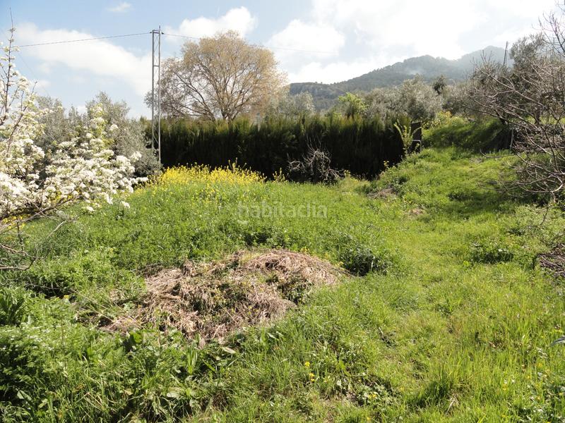 Foto d1f0ee94-7898-4c80-9ea1-376bd44dc327. Finca rústica a Iruela (La)