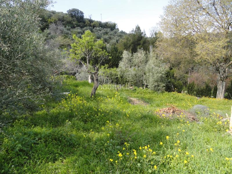 Foto ff76f13a-ab06-484d-bcbc-46fc9cc6e33d. Finca rústica a Iruela (La)