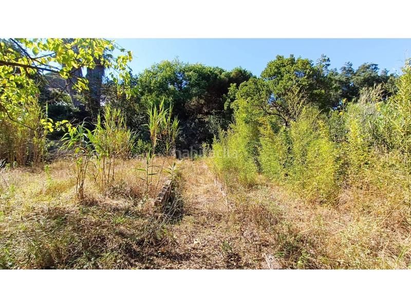 Foto 07db8faf-7598-46b3-a89f-ab665b7b81ed. Terreno residencial en sant ramón 30 terreno parcela urbana solar en venta can rabassa vallès oriental bcn en Vallromanes