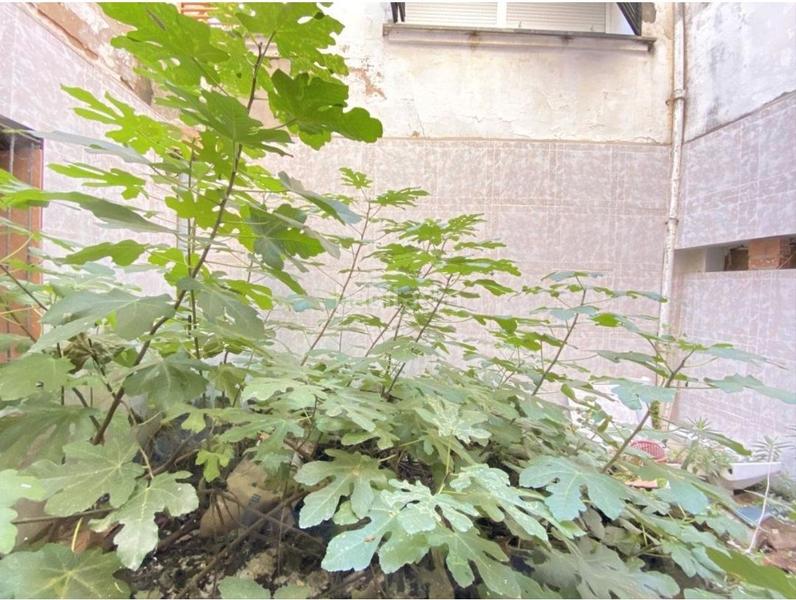 Foto 6b2b61ec-9f93-419e-b175-5d4febe6443d. Erdgeschoss in Casco Antiguo Badajoz