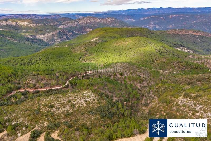 Foto 631155c4-3923-4f39-a5d3-44f13b471504. Finca rústica gran finca cinegética en Torralba del Pinar