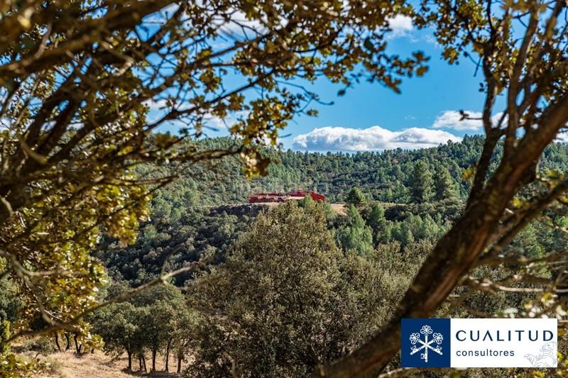 Foto 75a45225-24ff-4a4d-9ac0-043919b16a01. Finca rústica gran finca cinegética en Torralba del Pinar