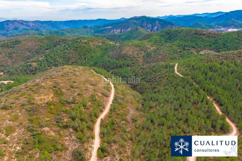 Foto dca80fff-fd91-41d5-8631-ce6f3d6f2a81. Finca rústica gran finca cinegética en Torralba del Pinar