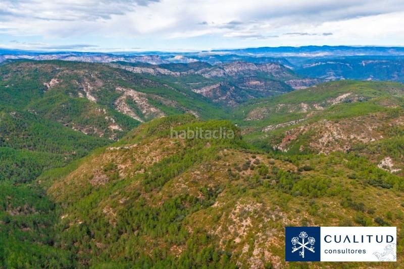 Foto e7693709-2ef7-402b-9387-d89a2941895f. Finca rústica gran finca cinegética en Torralba del Pinar