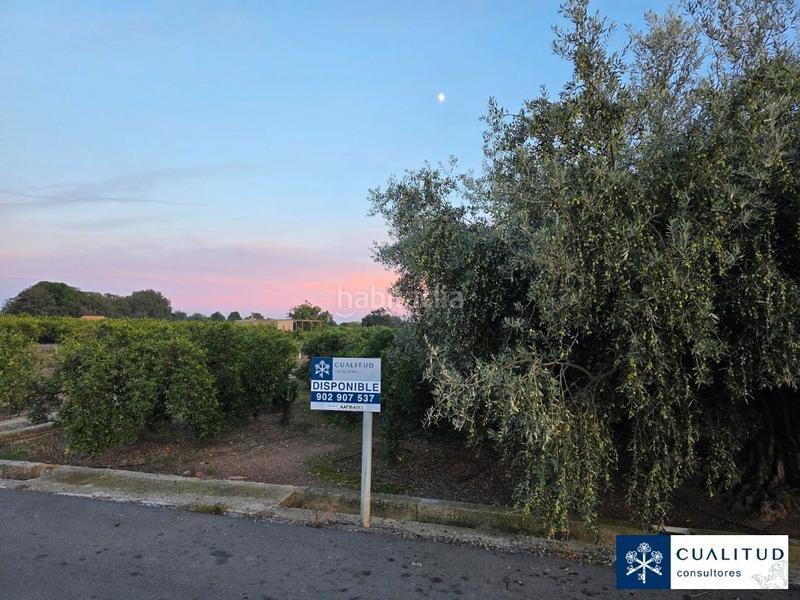 Foto 1adf44a6-5f3c-47e2-a58e-947ff2c7322c. Landgut in carretera tercer sedeny 1198 in Piscinas Villarreal / Vila - real