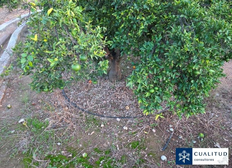 Foto 4010d459-30a9-4ce1-b6c6-a4c851f201aa. Landgut in carretera tercer sedeny 1198 in Piscinas Villarreal / Vila - real