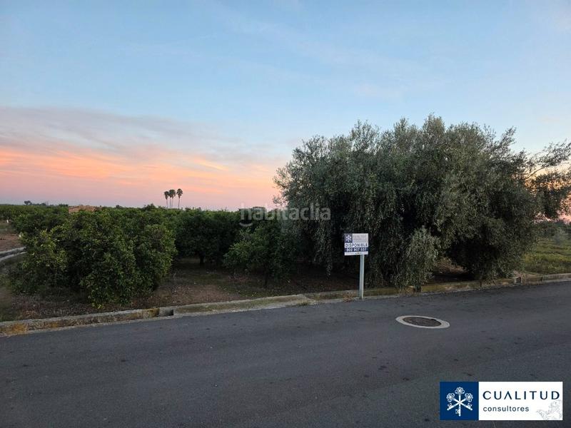 Foto 8020ee69-b0e8-435a-b8ed-aa09b26b5815. Landgut in carretera tercer sedeny 1198 in Piscinas Villarreal / Vila - real