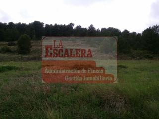 Finca rústica a Ibi. Terreno apto para construir.
