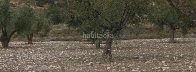 Foto 67178698-3af9-42d5-a50f-e1f672526e9e. Propriété dans Ibi