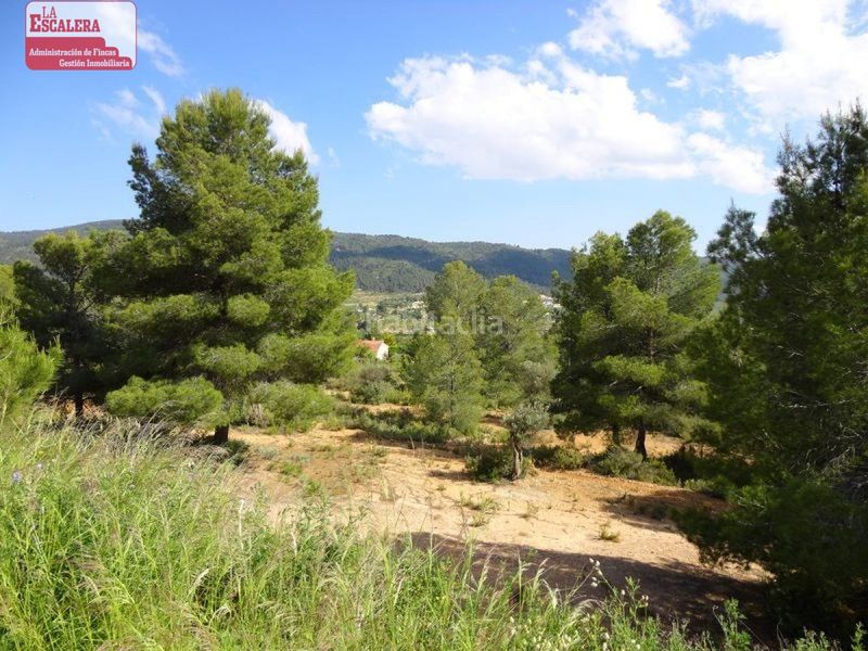 Foto 8f2603c6-36e1-4595-8ba4-127d1989c6c4. Finca rústica 16.000m2 , poslidad de construir en Ibi