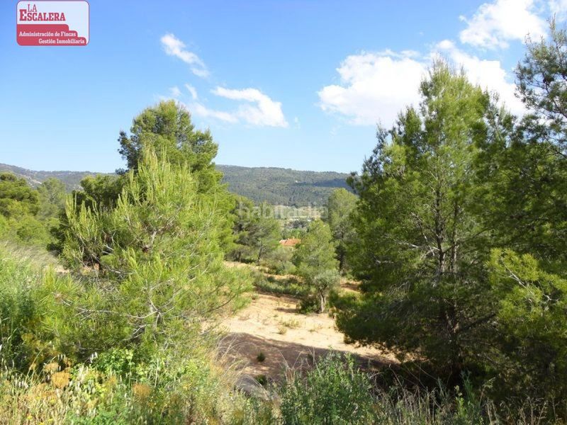 Foto bf84733f-683b-4bb2-a6d2-73f8d11a851a. Finca rústica 16.000m2 , poslidad de construir en Ibi