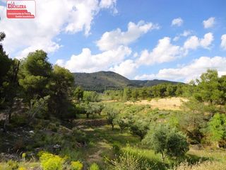 Propriété à Ibi. 16.000m2 en ibi, posibilidad de construir
