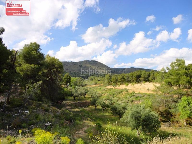 Foto d862bbb7-658c-448b-b8c7-a88b17debe3c. Finca rústica 16.000m2 , poslidad de construir en Ibi