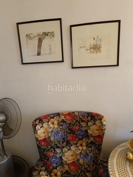Foto 22648823-2f6e-4089-825e-cc0d50f274a0. Pis a Zafra