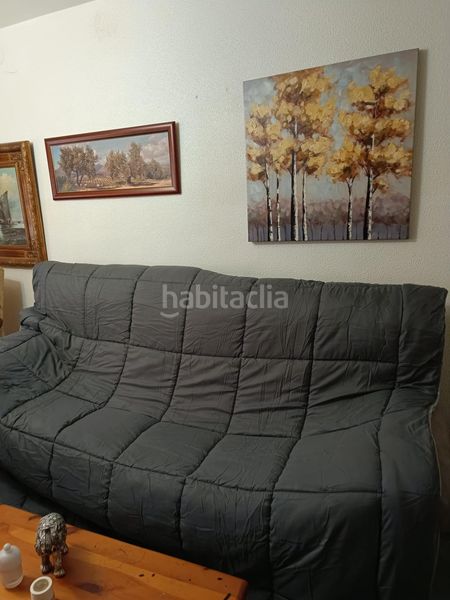 Foto 670a9caf-8668-4cda-ad82-510d29a7b4b0. Pis a Zafra
