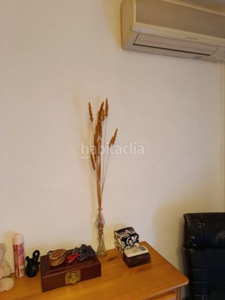 Foto 71968a9d-773b-43d5-99df-20c613773127. Pis a Zafra
