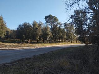 Terreny residencial a Brull (El). Terreno a la venta en el brull