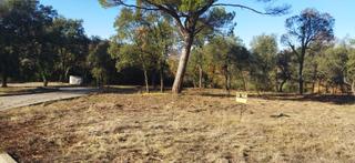 Residential Plot  Carrer pla de la calma. Parcela plana y soleada