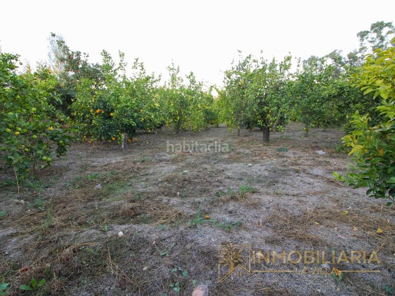 Foto e7445566-7bd5-478a-9684-02f714215ebf. Masía se vende parcela con pequeña casa por cortijo benítez en Coín