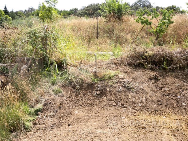 Foto 5b0348ad-f4ea-4b48-a42a-bc27aa480fc0. Masia a Coín