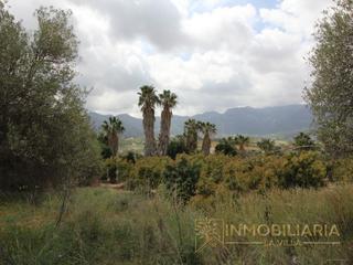 Terreny residencial  N/a. Extensa finca rustica con posibilidad de luz y agua de pozo