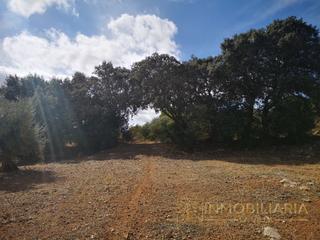Terreny residencial  N/a. Opòrtunidad unica en alhaurin el grande finca rustica.
