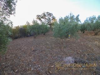 Terrain résidentiel  N/a. Se vende terreno en partido moreta