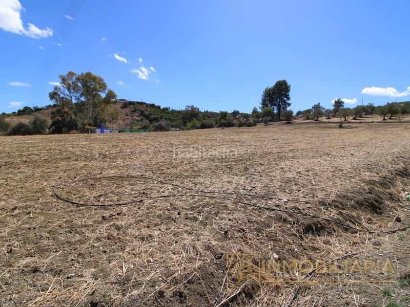 Foto 3202a732-ea66-49e5-a979-7cfa4a6fd1b1. Terrain résidentiel dans Centro Alhaurín el Grande